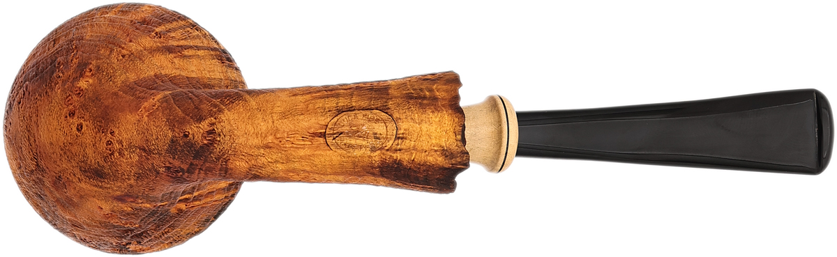 Il Duca Sandblasted Rhodesian with Boxwood (B)