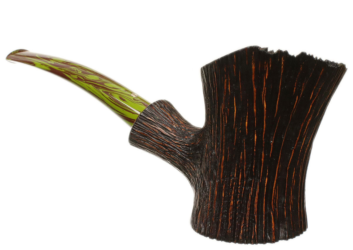 Askwith Carved Tree Bark