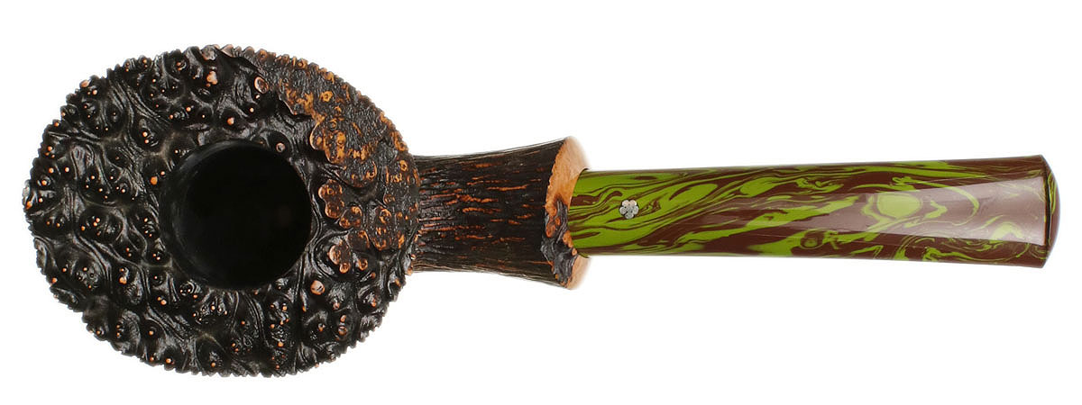 Askwith Carved Tree Bark