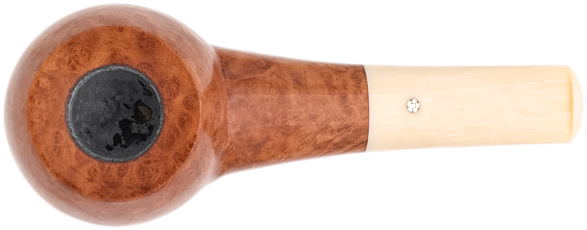 Askwith Smooth Apple (2026)