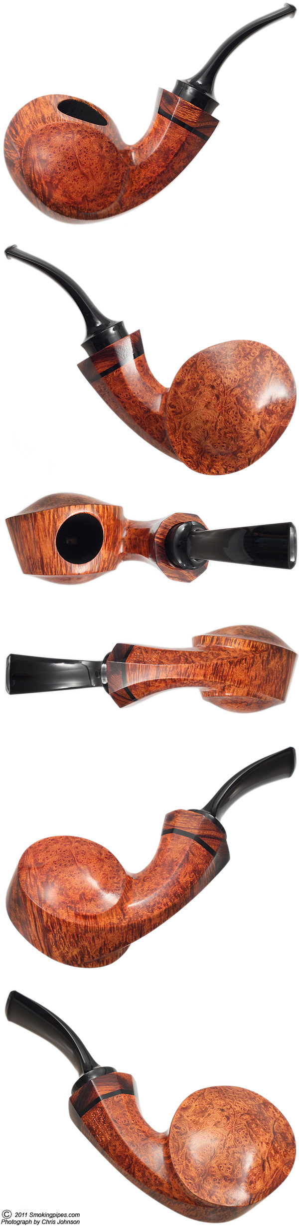Scott Klein Smooth Blowfish
