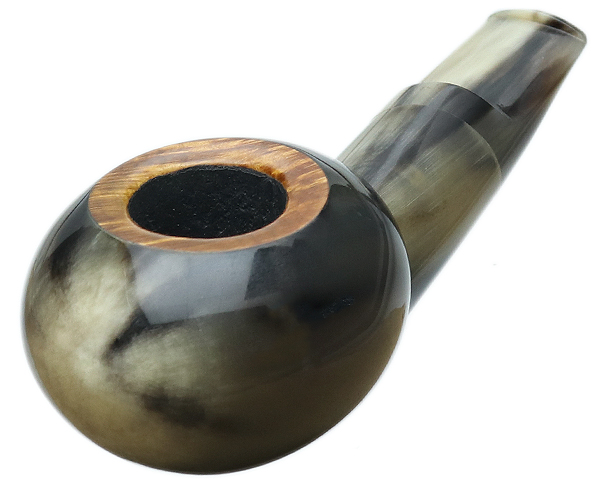 Scott Klein Smooth Horn Tomato