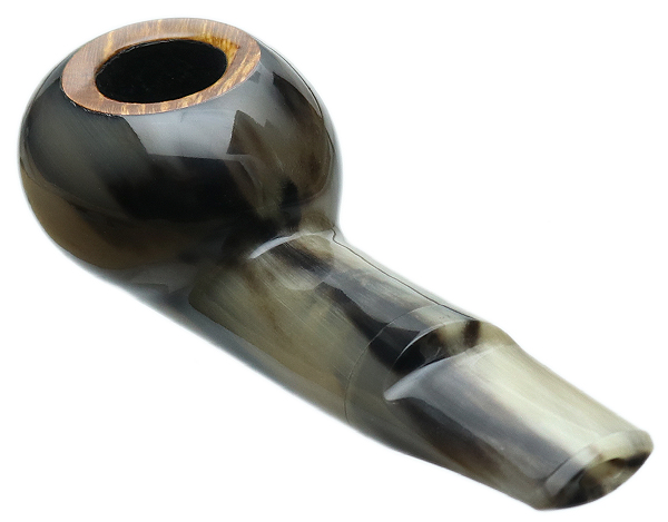 Scott Klein Smooth Horn Tomato