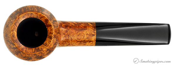 Chris Asteriou Smooth Rhodesian