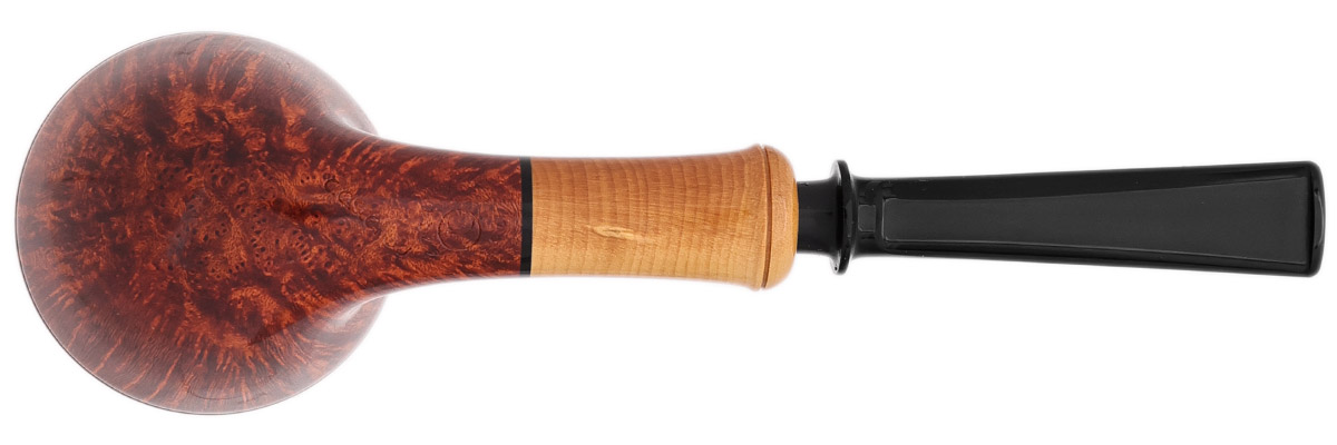 Chris Asteriou Smooth Rhodesian with Boxwood (2026)