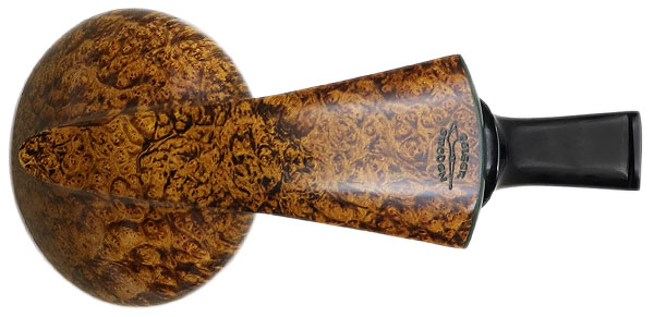 Geiger Smooth Reverse Calabash Fig On a Branch