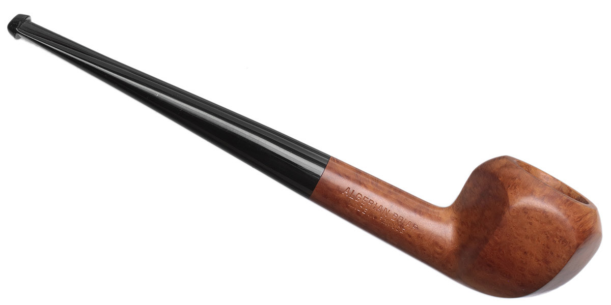 Ropp Algerian Superior Paneled Rhodesian