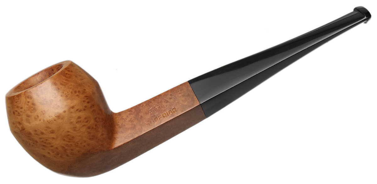 Ropp Algerian Superior Smooth Bulldog