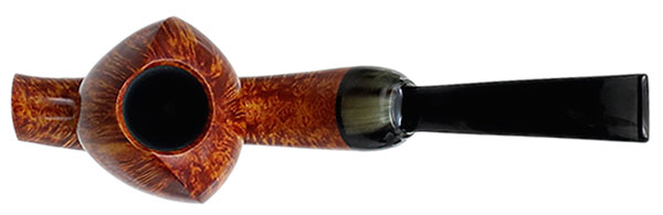 Abe Herbaugh Smooth Forrestiana with Horn