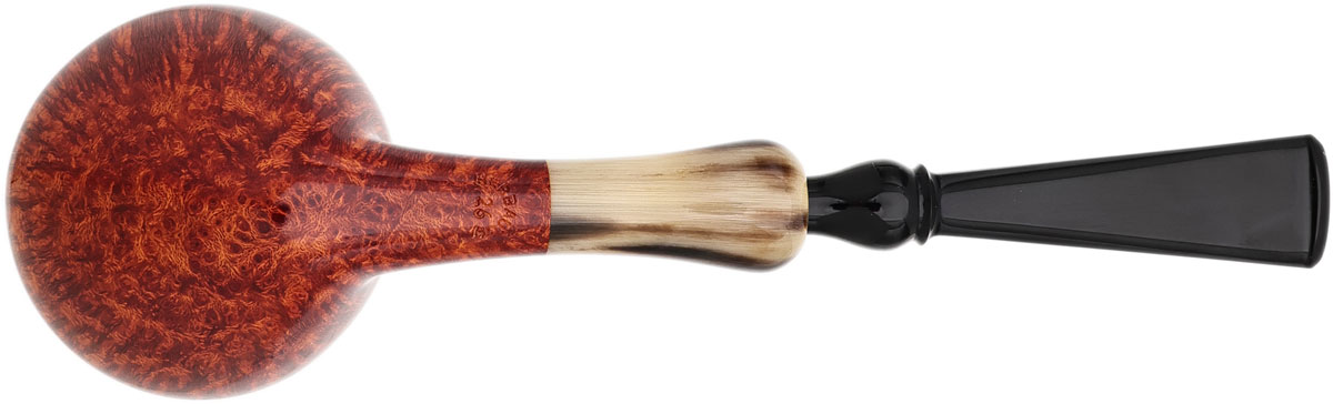 Abe Herbaugh Smooth Acorn with Horn (2026)