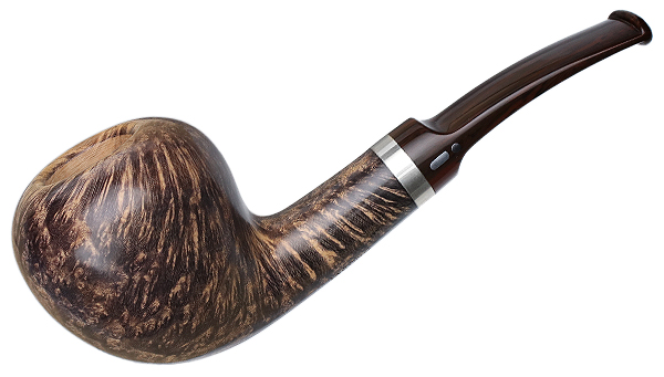 Jacono Rook Acorn (E)