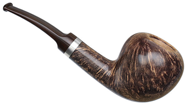 Jacono Rook Acorn (E)