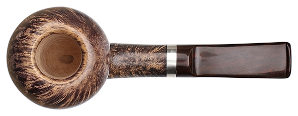 Jacono Rook Acorn (E)