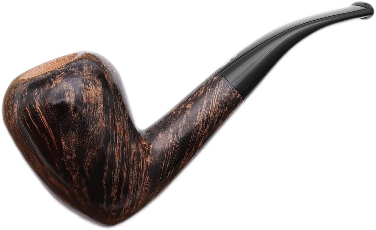 Jacono Rook Acorn (2024)