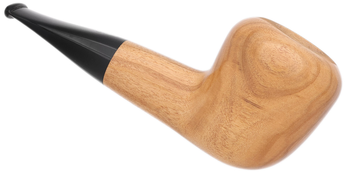 Jacono Olivewood Acorn (2025)