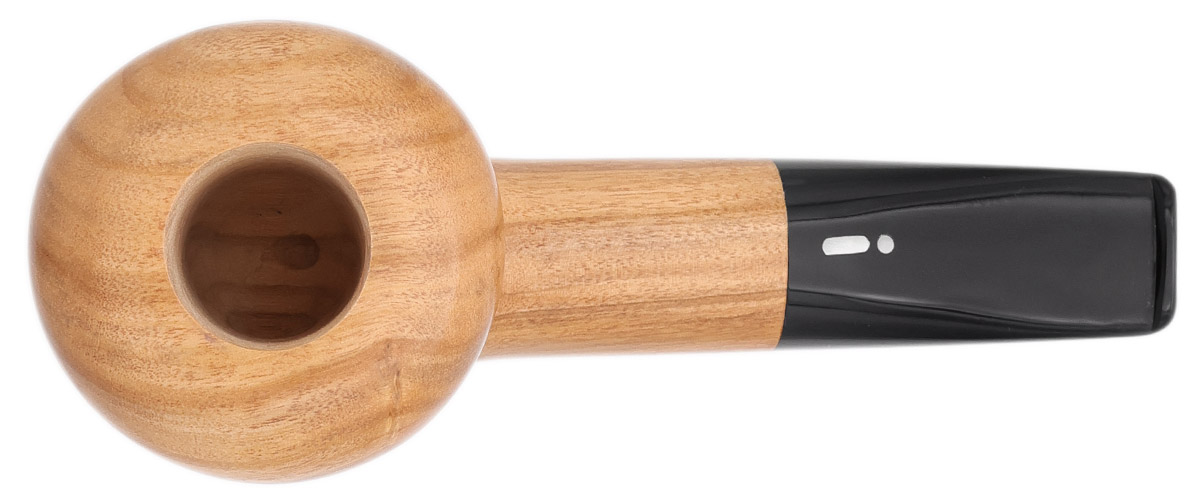 Jacono Olivewood Acorn (2025)