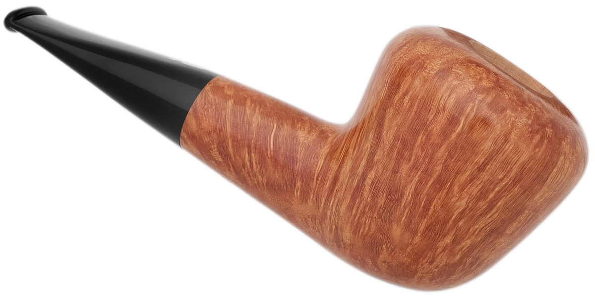 Jacono Rook Acorn (2025)