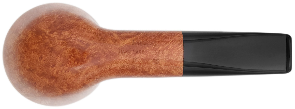 Jacono Rook Acorn (2025)