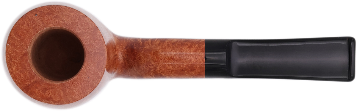 Jacono Rook Flamingo (E) (2025)