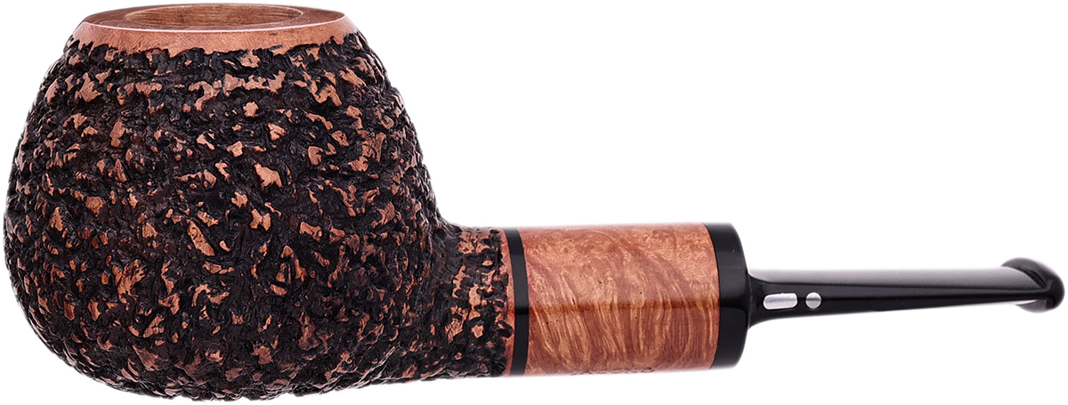 Jacono Knight Brandy Sitter (2025)