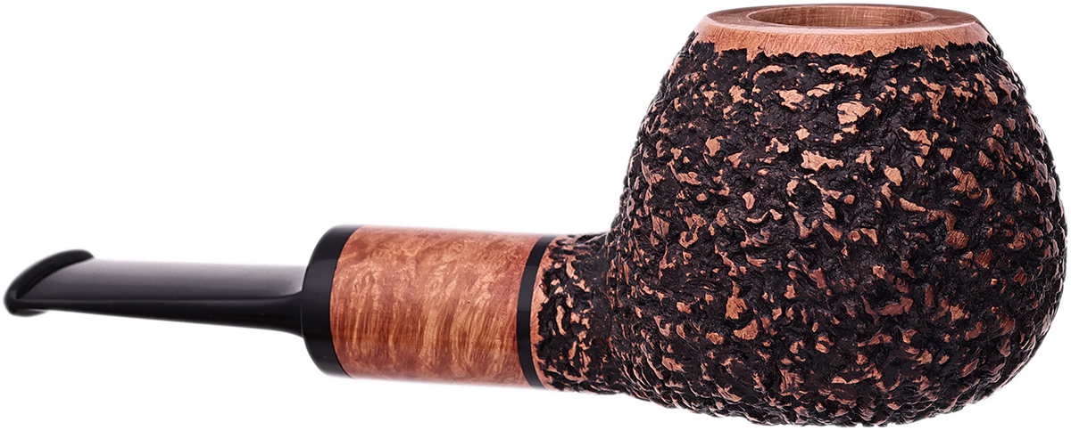 Jacono Knight Brandy Sitter (2025)