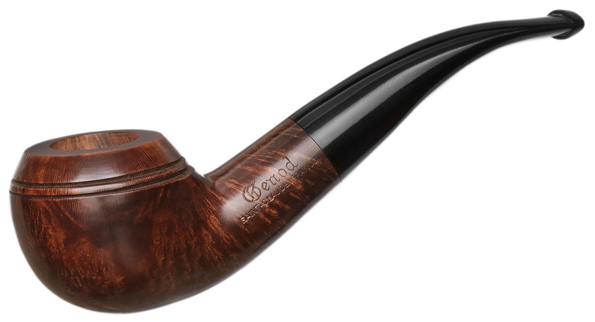 Genod Smooth Brown Rhodesian