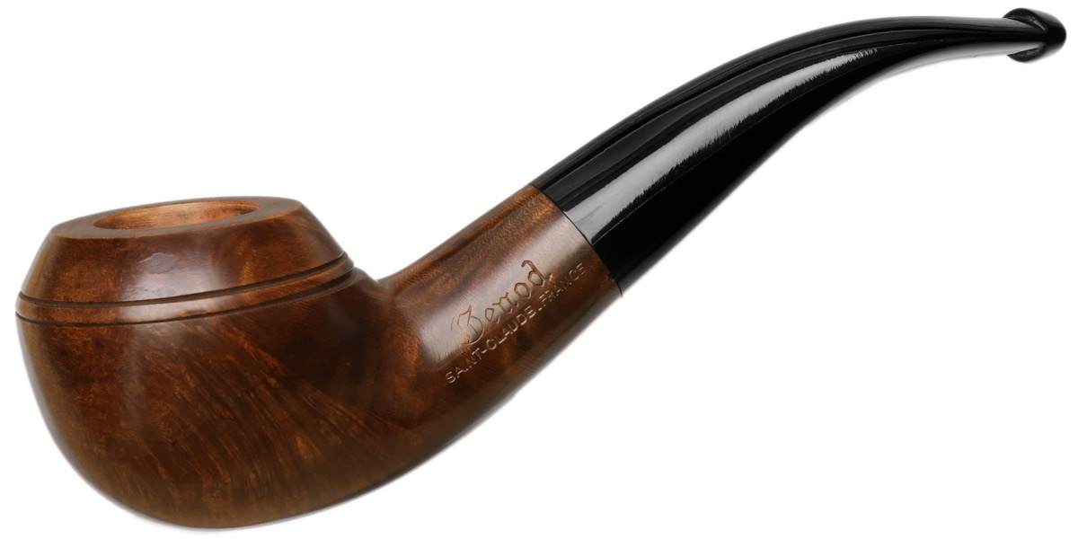 Genod Smooth Brown Rhodesian