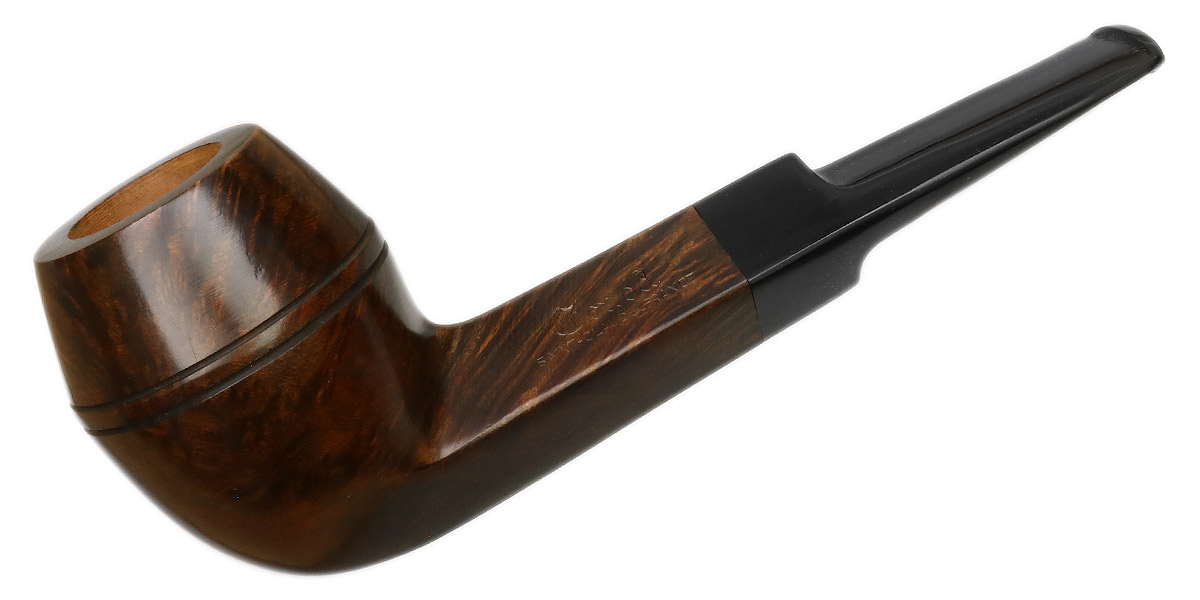 Genod Smooth Brown Bulldog