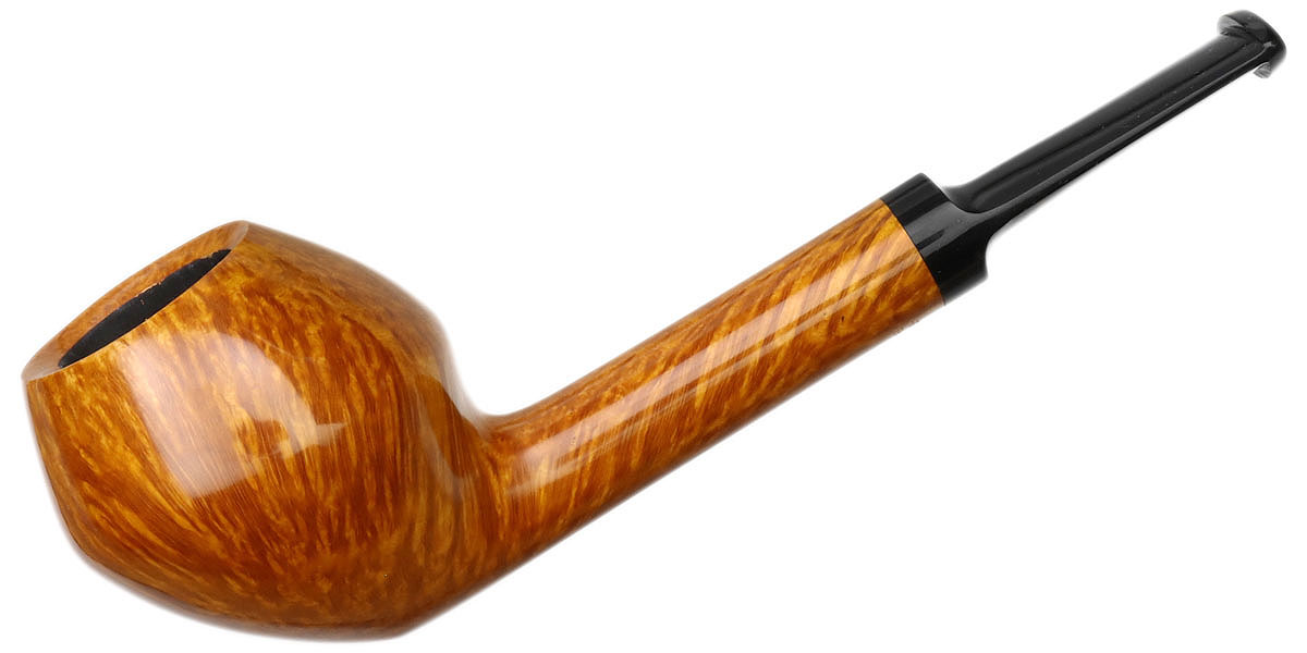 Davide Iafisco Smooth Rhodesian