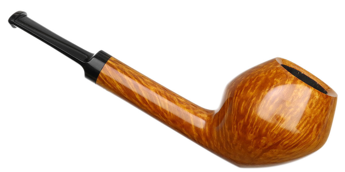 Davide Iafisco Smooth Rhodesian