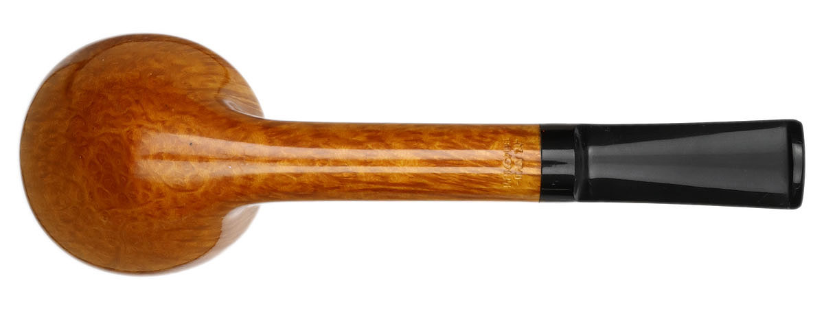 Davide Iafisco Smooth Rhodesian