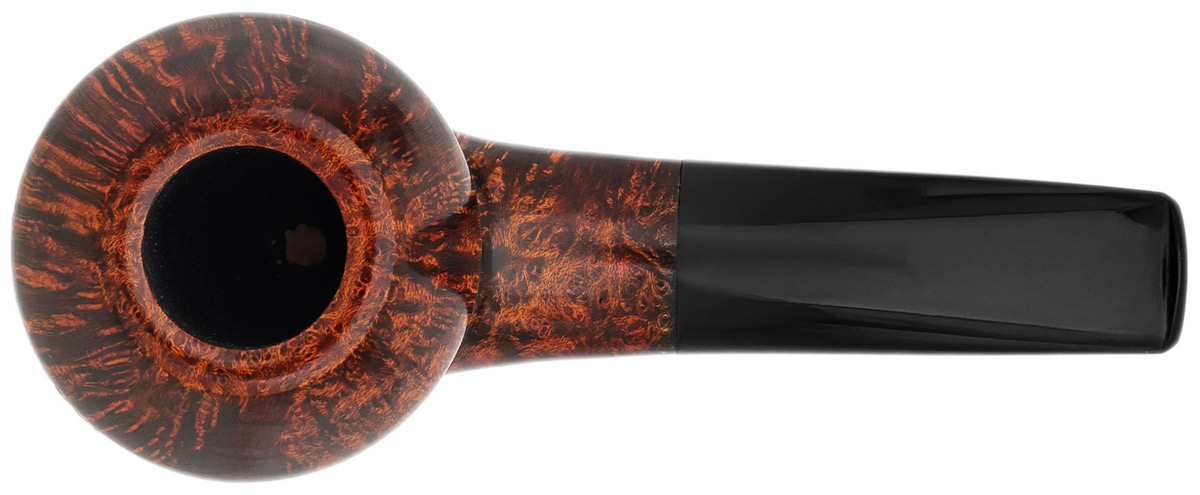 Davide Iafisco Smooth Rhodesian (2026)