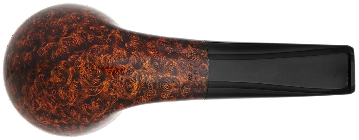 Davide Iafisco Smooth Rhodesian (2026)