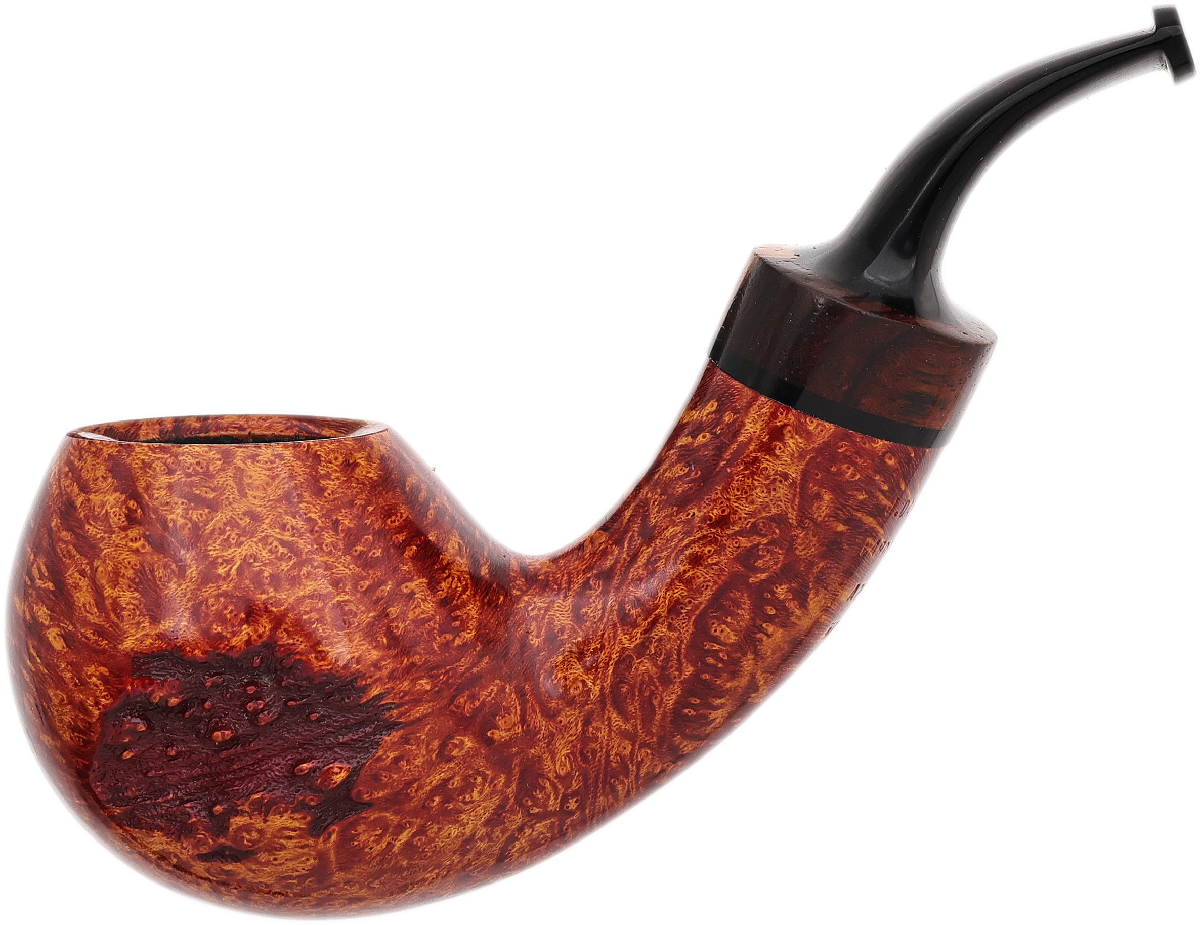 Jody Davis Smooth Asymmetric Bent Egg with Cocobolo (A25) (98) (2025)