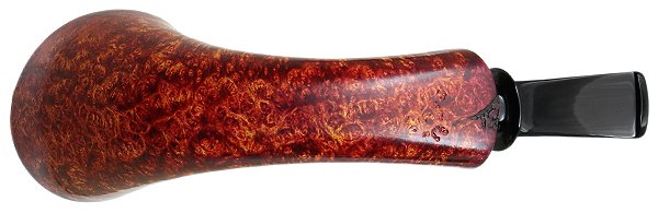Jared Coles Smooth Horn (1631)
