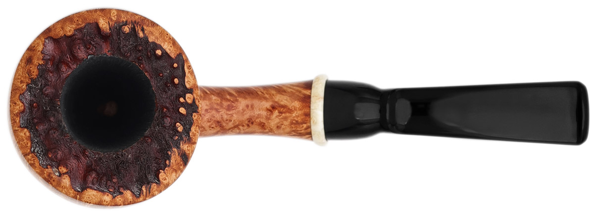 Jared Coles Smooth Acorn (Oak) (2026)