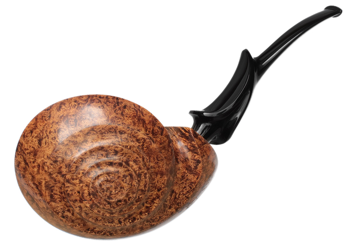 David Huber Smooth Snail (Bull) (4819)