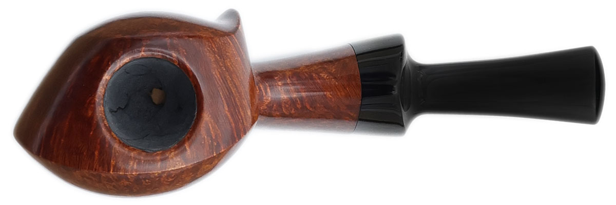 Micah Redmond Smooth Blowfish