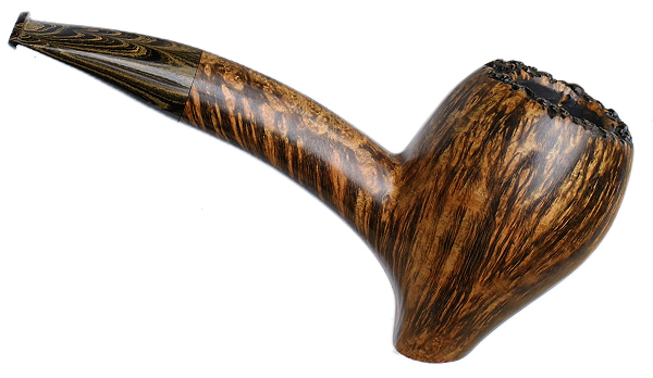 Silver Gray Smooth Hawkbill Sitter