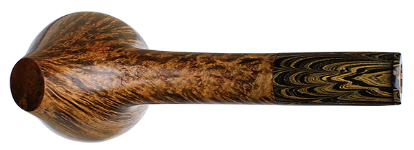 Silver Gray Smooth Hawkbill Sitter
