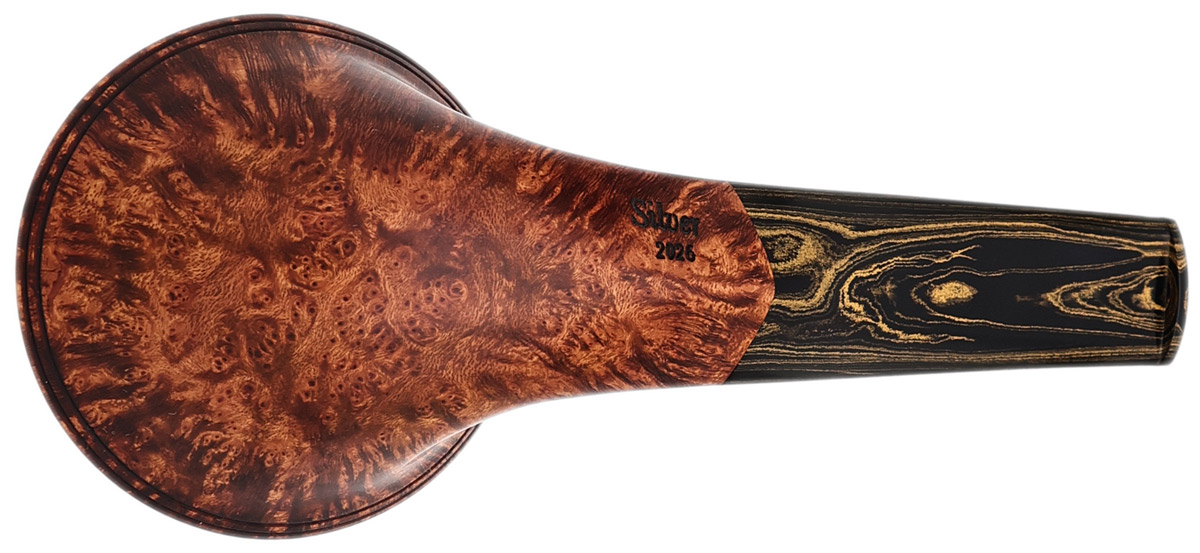 Silver Gray Smooth Bent Bulldog (2026)
