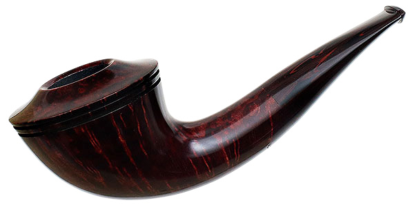 Ryan Alden Smooth Rhodesian