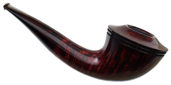 Ryan Alden Smooth Rhodesian
