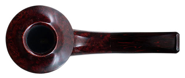 Ryan Alden Smooth Rhodesian