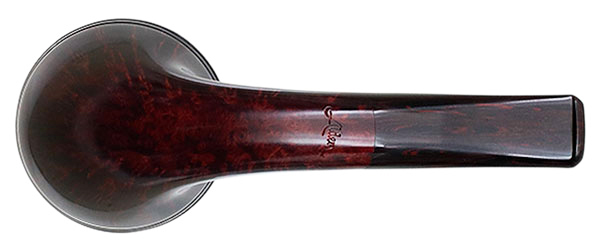 Ryan Alden Smooth Rhodesian
