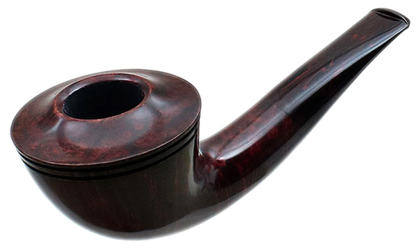 Ryan Alden Smooth Rhodesian