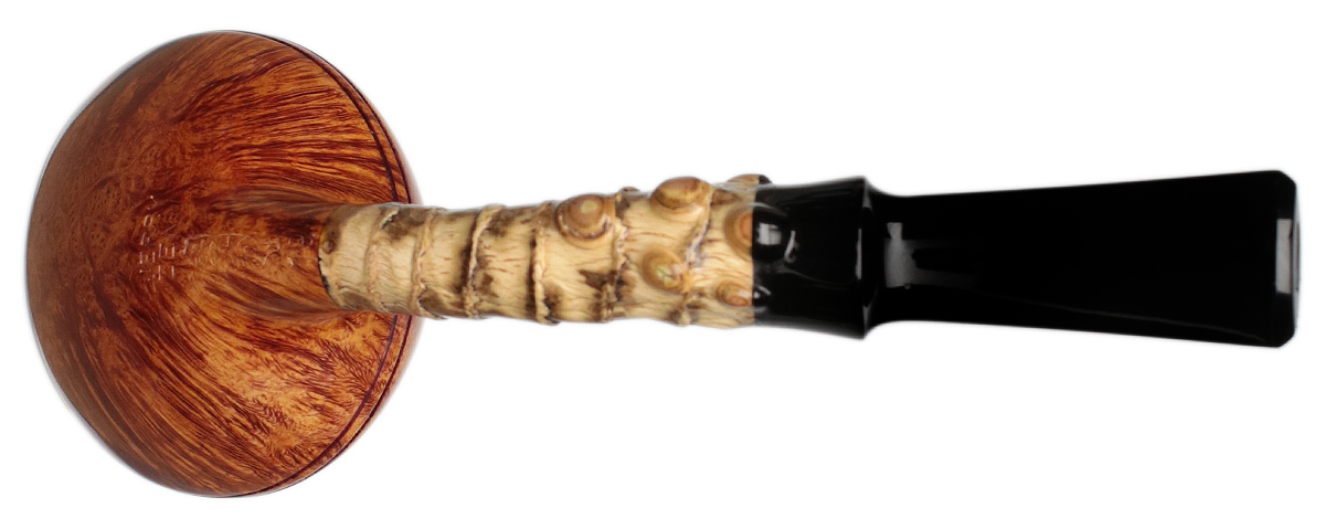 Jerry Zenn Smooth Rhodesian with Bamboo