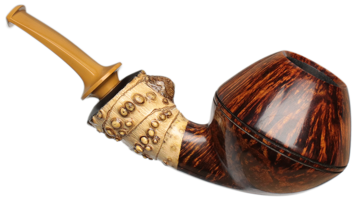 Jerry Zenn Smooth Rhodesian with Bamboo