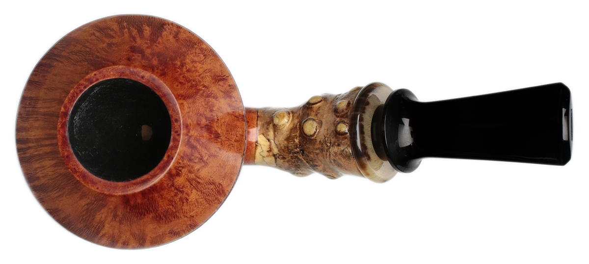 Jerry Zenn Smooth Rhodesian with Bamboo and Horn