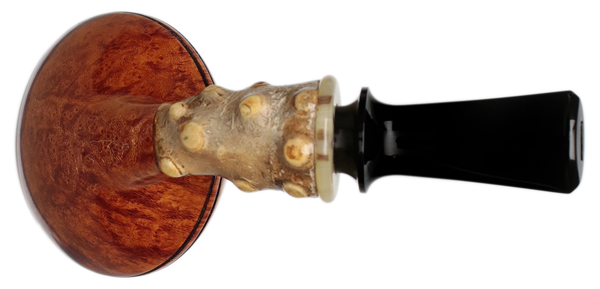 Jerry Zenn Smooth Rhodesian with Bamboo and Horn